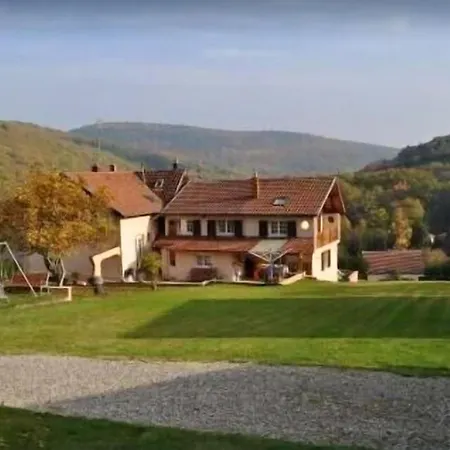 Vakantiehuis Maison De 3 Chambres Avec Jardin Clos Et Wifi A Rimbachzell *